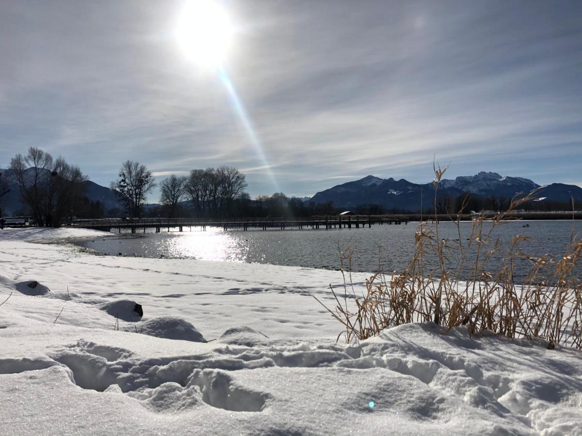 Ad Fontes Mit Bergblick & Sauna Lejlighed